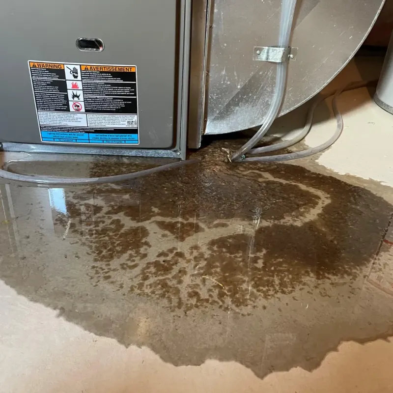 Appliance Leak Cleanup in Dickinson, ND